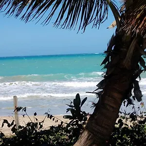 https://ivbb-beach-studio.comcaribbean.com